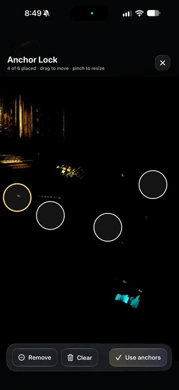 TimeLapsed Review and apply the selected anchors