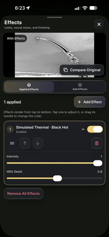 TimeLapsed A simulated thermal black-hot treatment